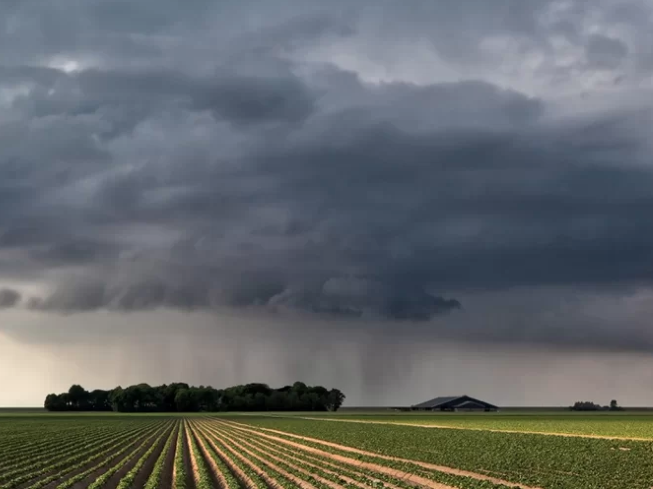 Farmland LP article image